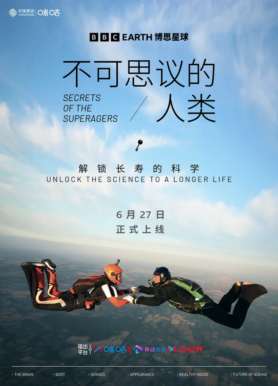 天线宝宝在线观看